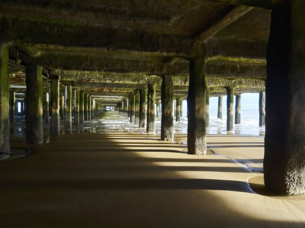 Cost of Pier And Beam Leveling in Tucson